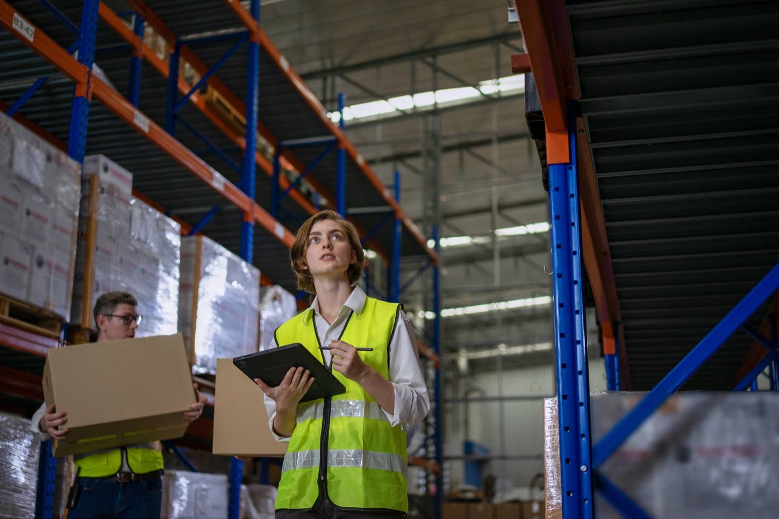 e:corg ERP interface for stock control and logistics operations